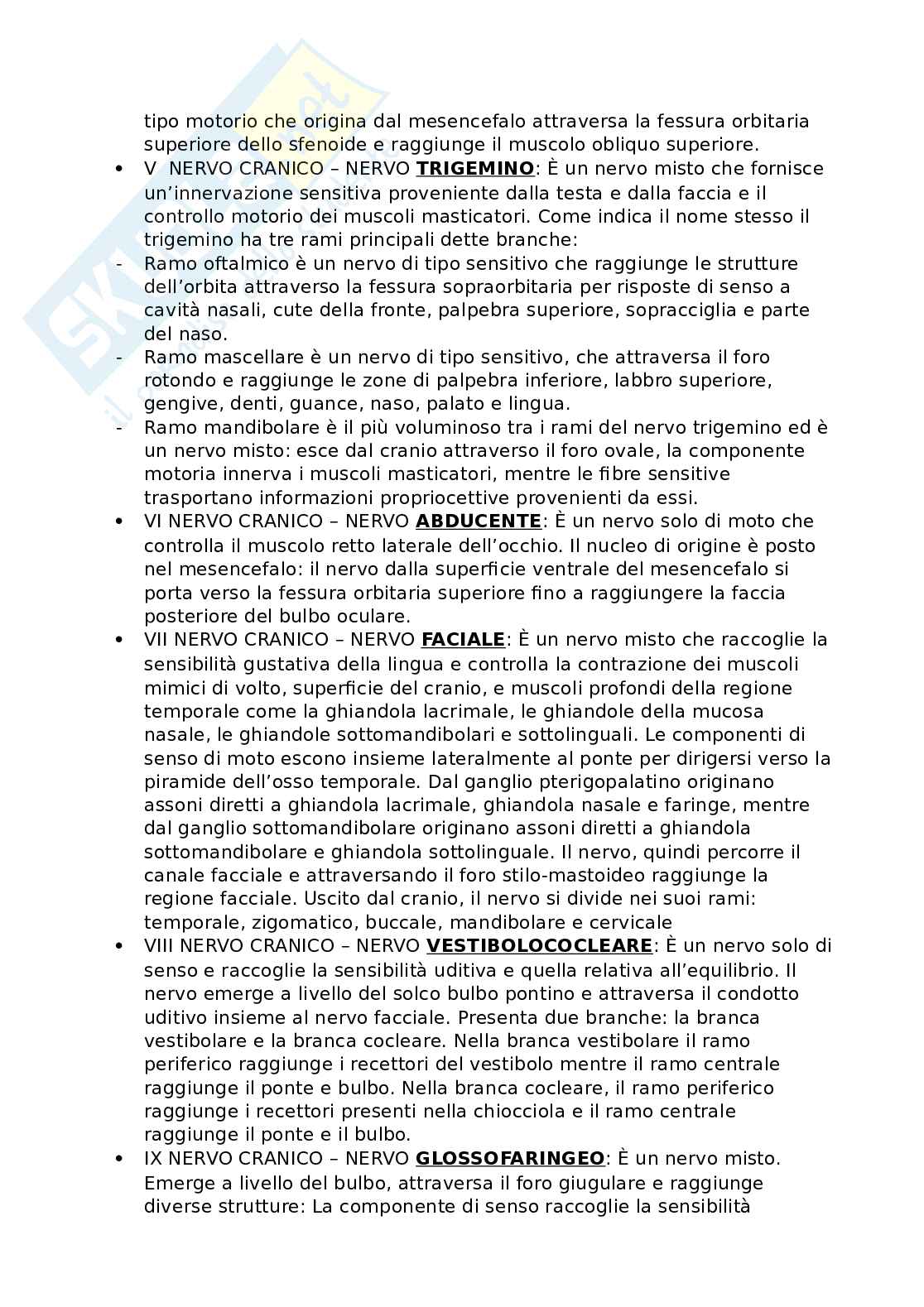 Riassunto esame Anatomia, Prof. Bandiera Pasquale, libro consigliato Anatomia umana, Martini Pag. 11