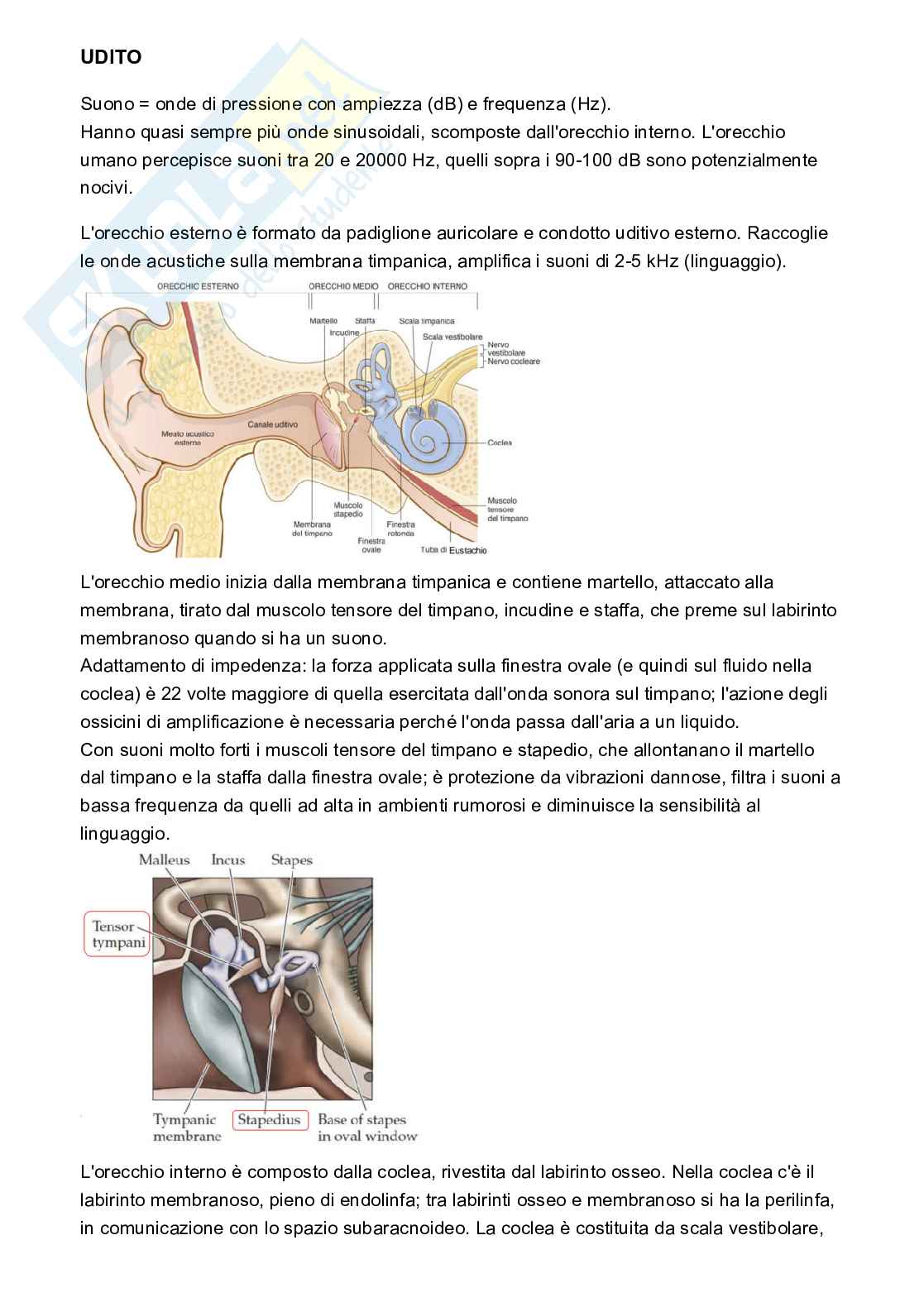 Appunti Fisiologia Pag. 26