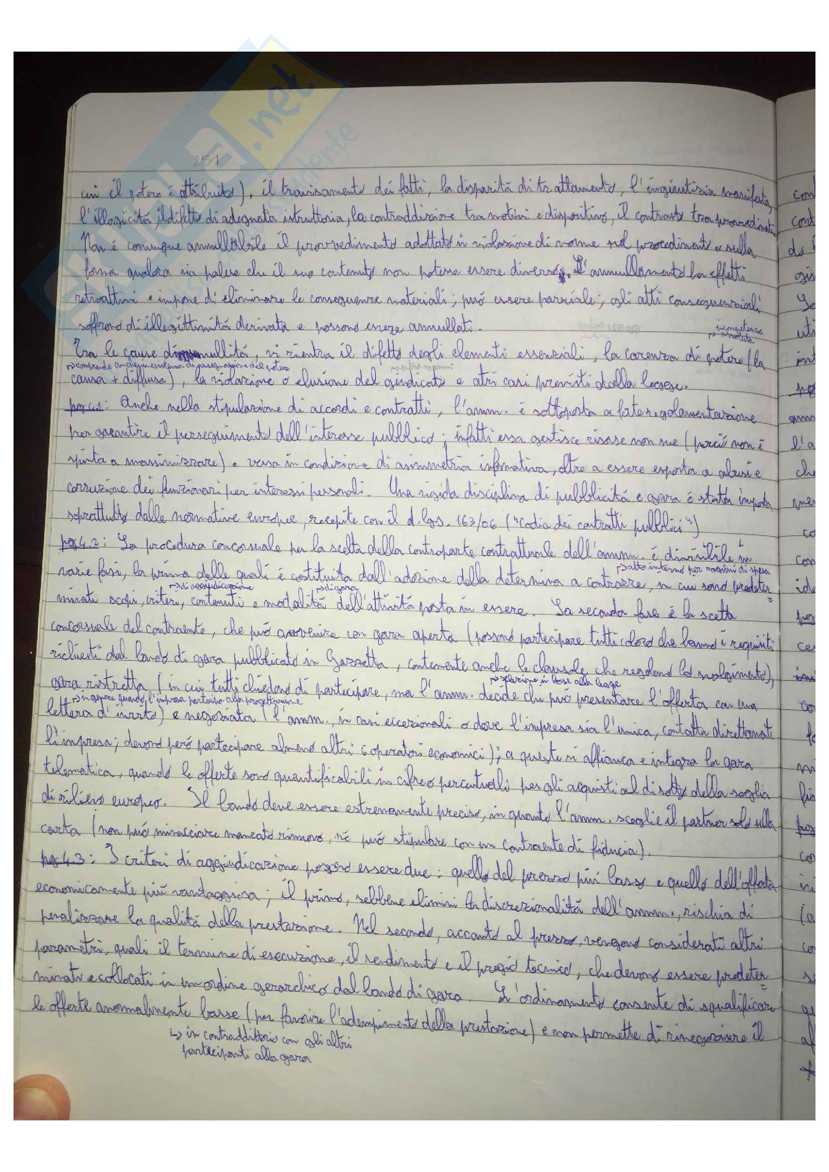 Riassunto esame Diritto Amministrativo, docente G. Napolitano, libro consigliato Logica del diritto amministrativo, di G. Napolitano Pag. 16