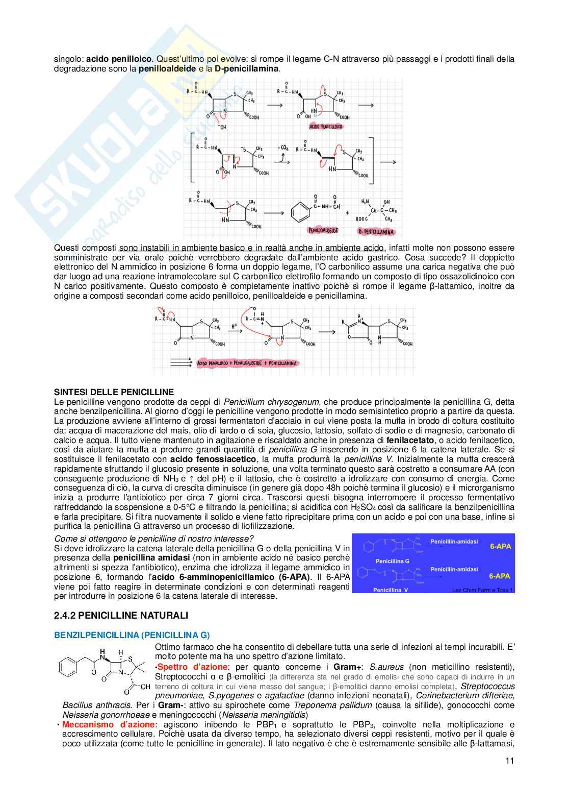 Chimica farmaceutica I e tossicologica e fitochimica Pag. 11