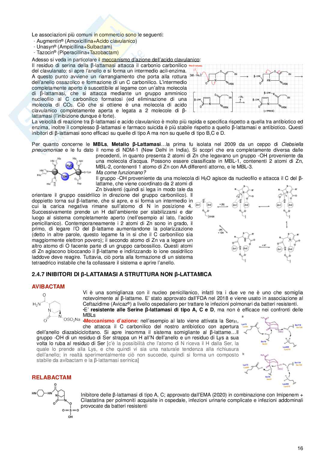 Chimica farmaceutica I e tossicologica e fitochimica Pag. 16