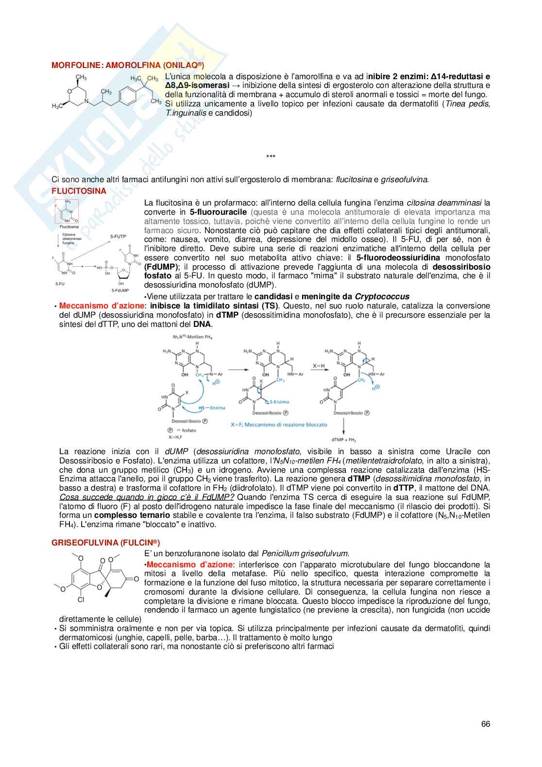 Chimica farmaceutica I e tossicologica e fitochimica Pag. 66