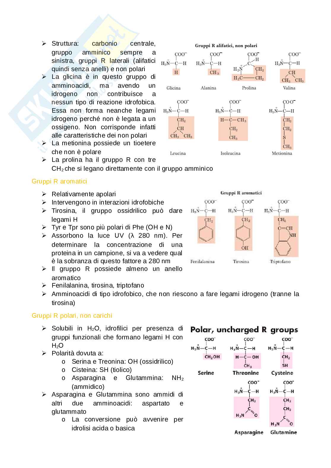biochimica Pag. 6