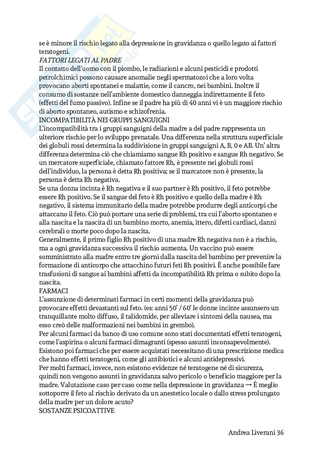 Psicologia dello sviluppo - appunti Pag. 36