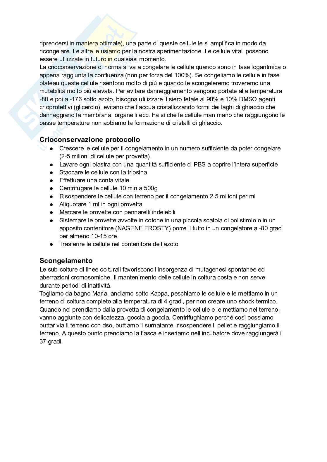 Colture cellulari Pag. 16