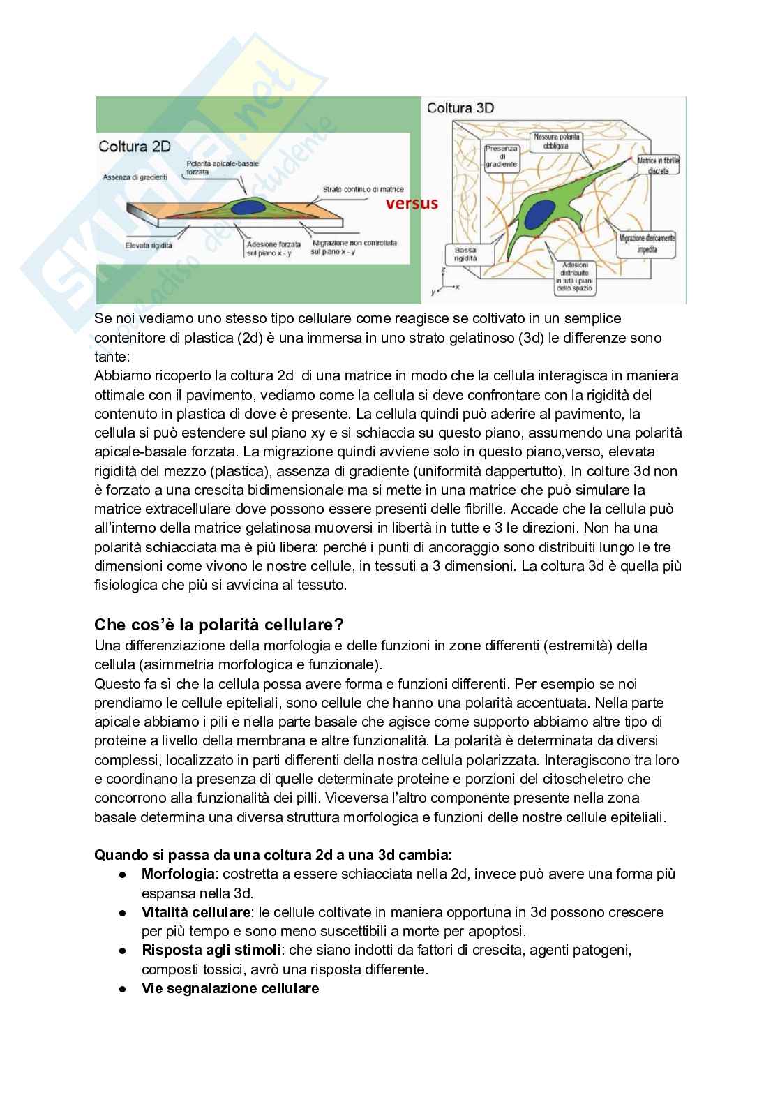 Colture cellulari Pag. 6