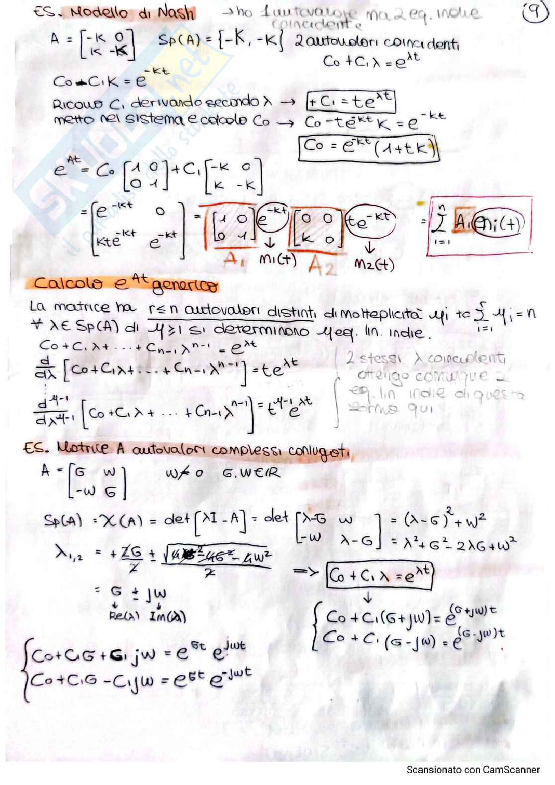 Schema studio per l'esame di Analisi dei sistemi ambientali Pag. 11