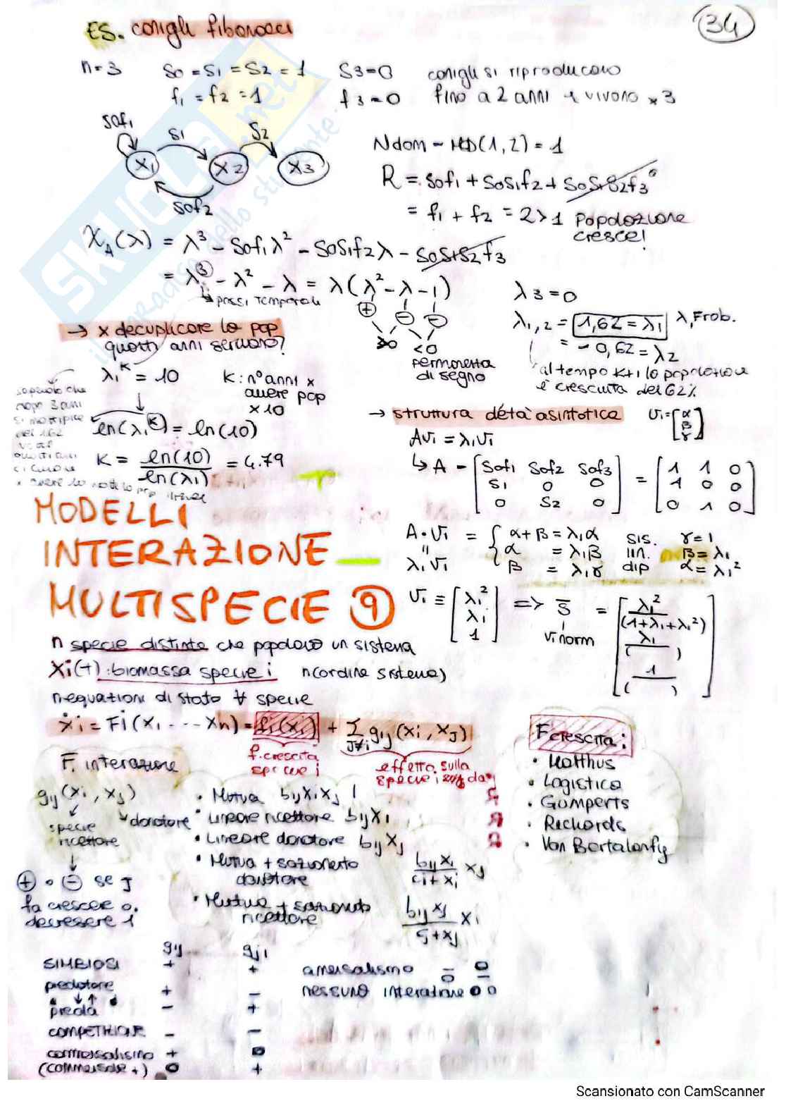 Schema studio per l'esame di Analisi dei sistemi ambientali Pag. 36