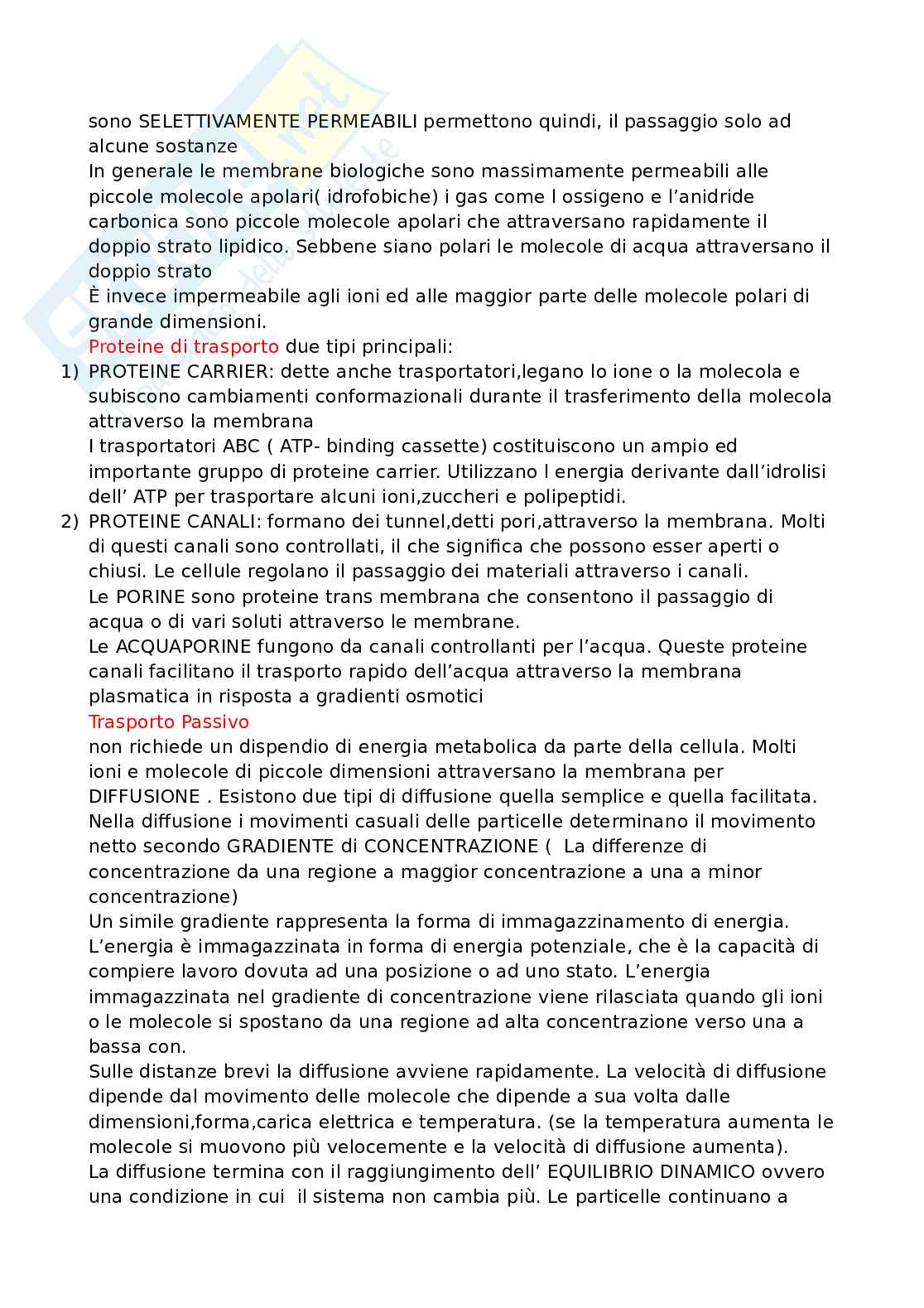 Riassunto esame Biologia applicata, Prof. Felaco Mario, libro consigliato Biologia, Solomon Pag. 21