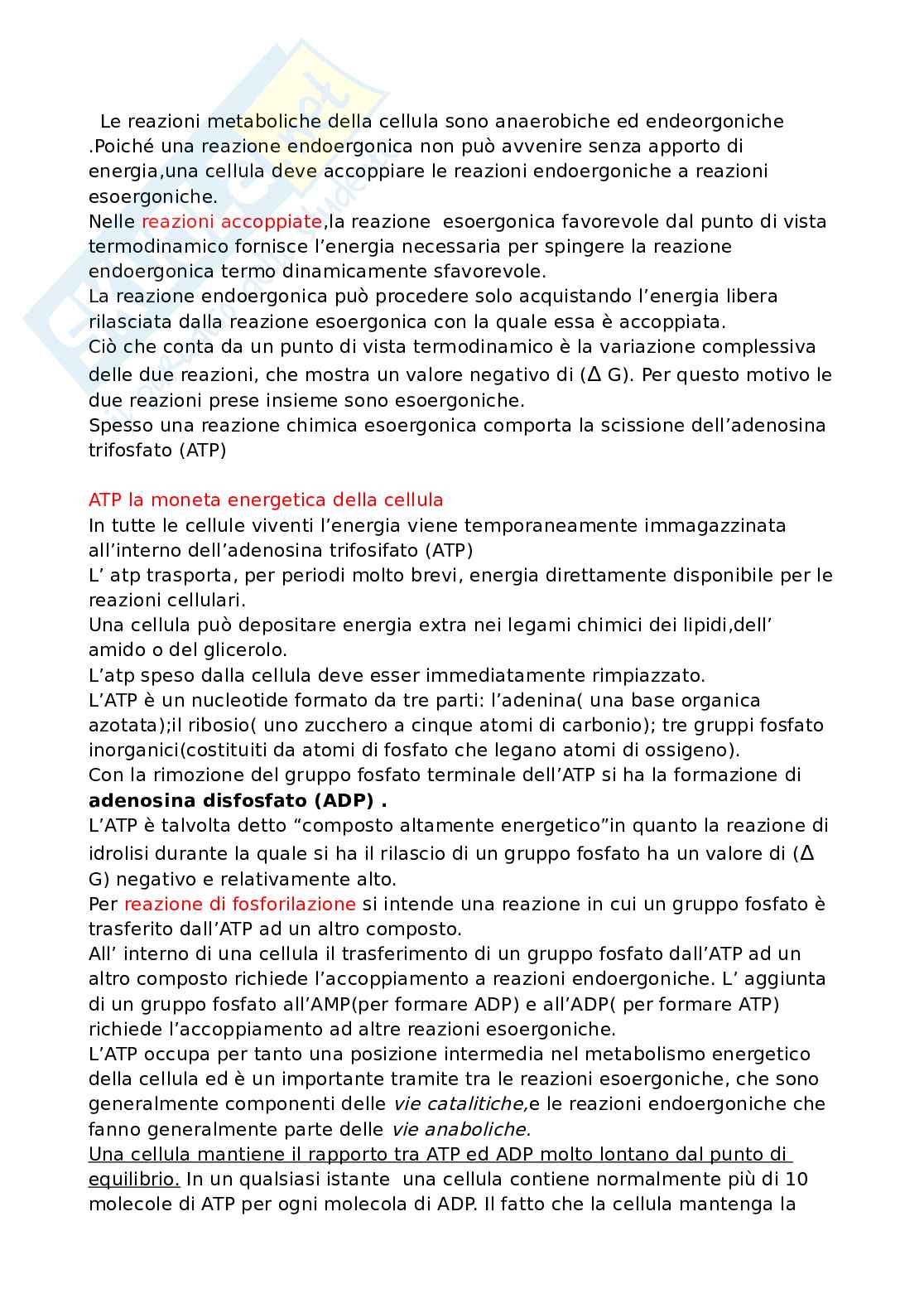 Riassunto esame Biologia applicata, Prof. Felaco Mario, libro consigliato Biologia, Solomon Pag. 36