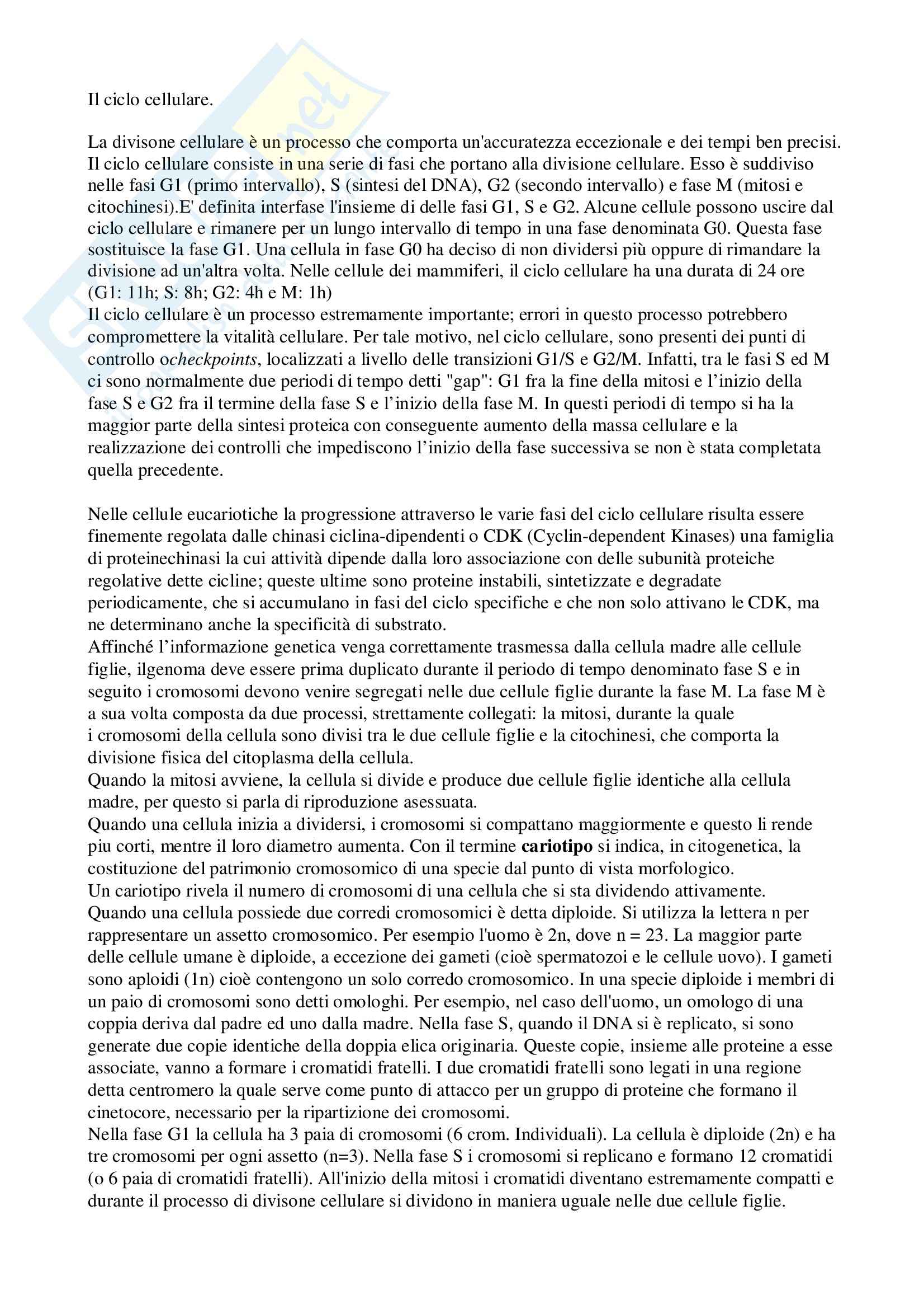 Ciclo cellulare, Biologia cellulare ed elementi di genetica Pag. 1