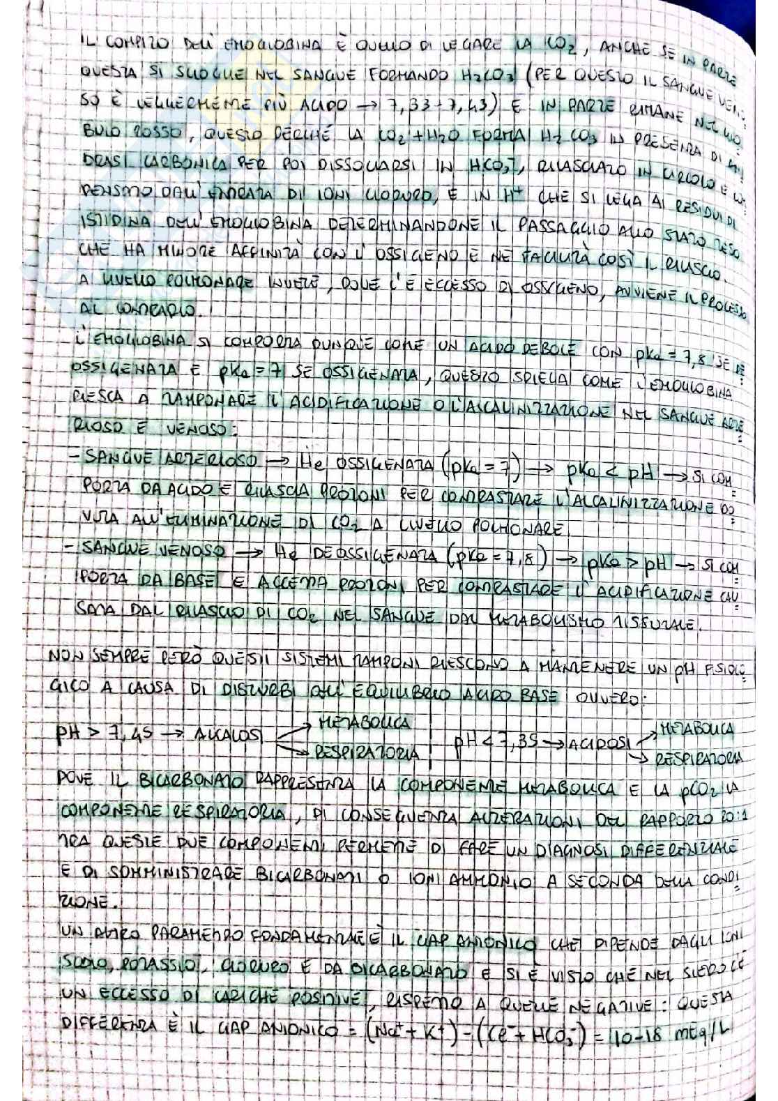 Biochimica I - seconda parte Pag. 11