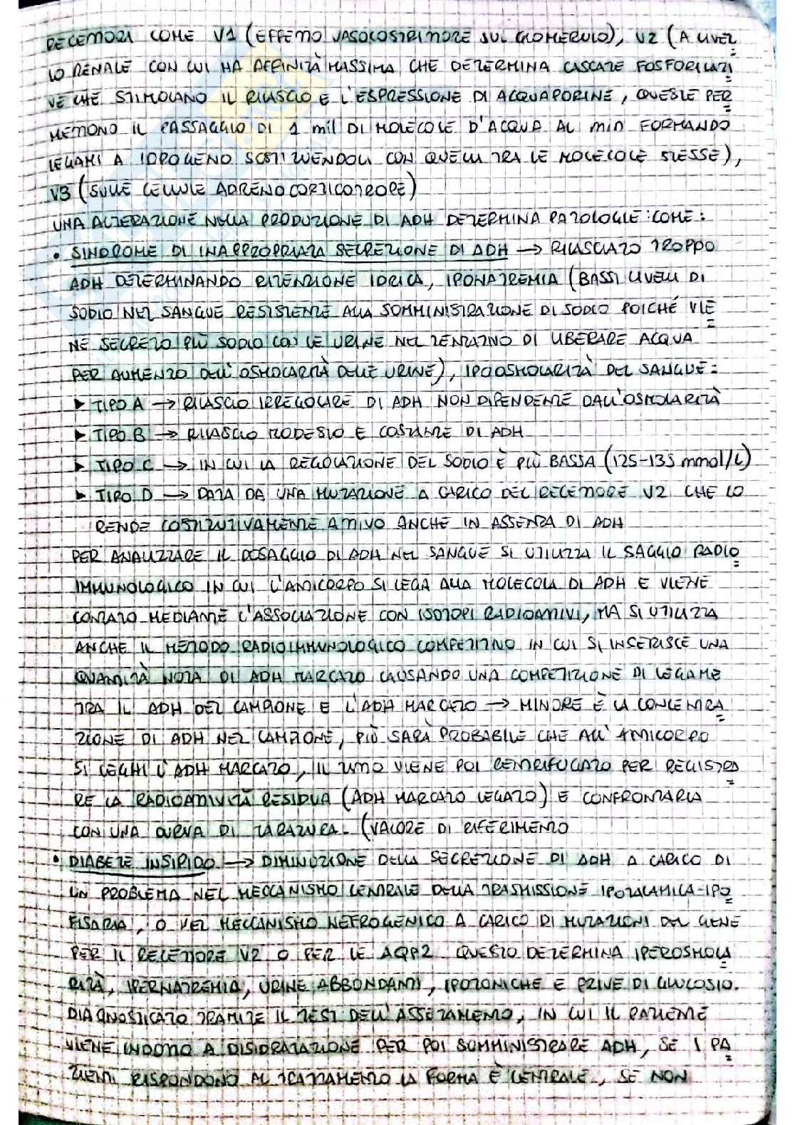 Biochimica I - seconda parte Pag. 16