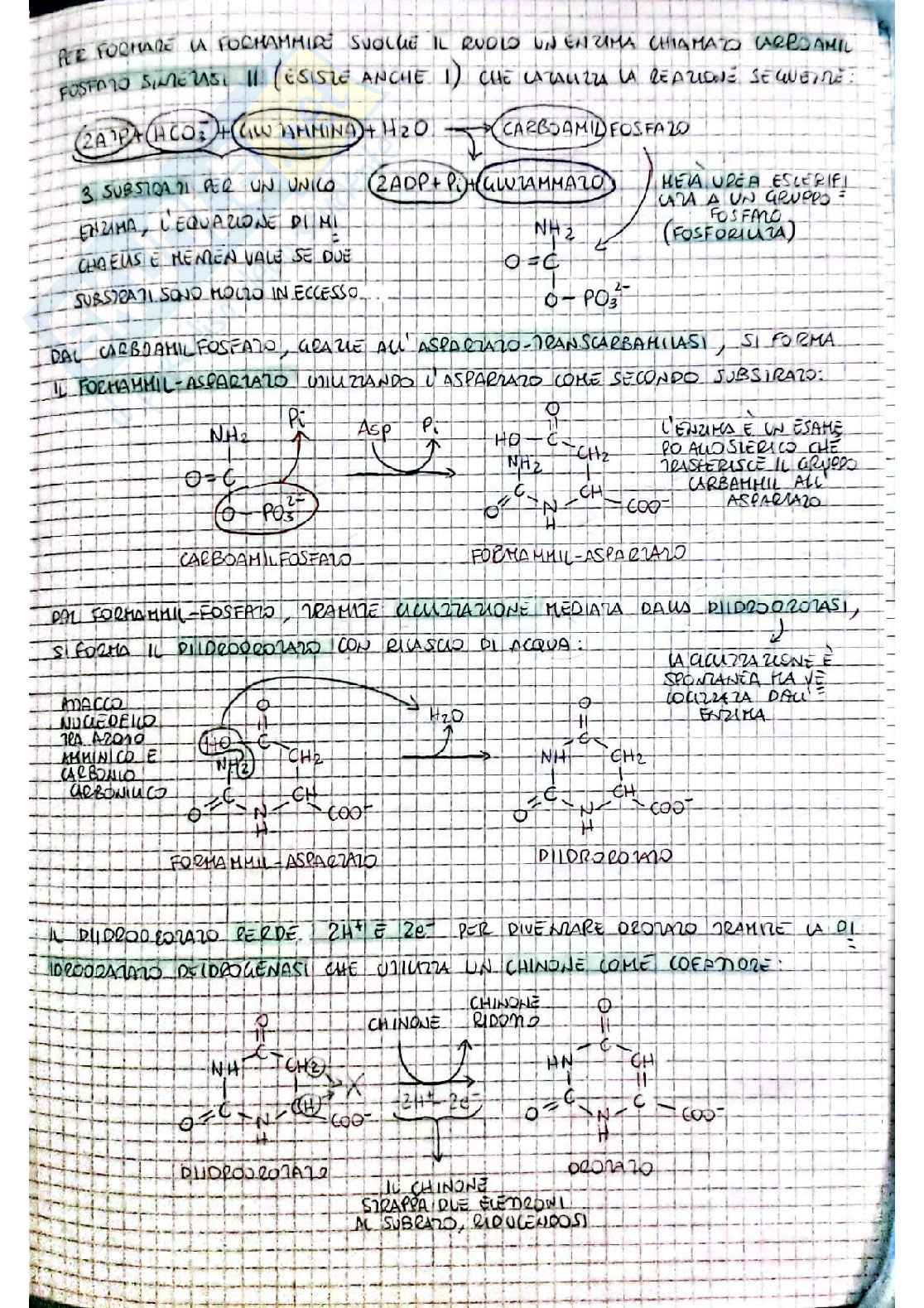 Biochimica I - seconda parte Pag. 2