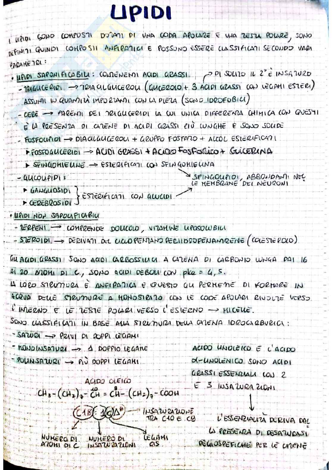 Biochimica I - seconda parte Pag. 26