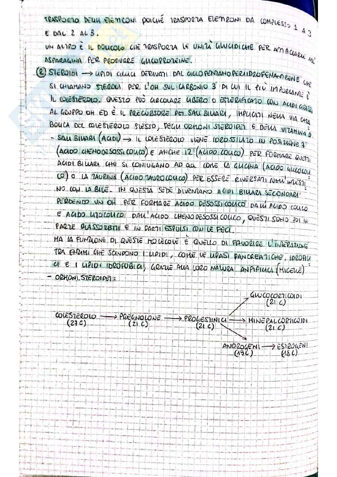 Biochimica I - seconda parte Pag. 31