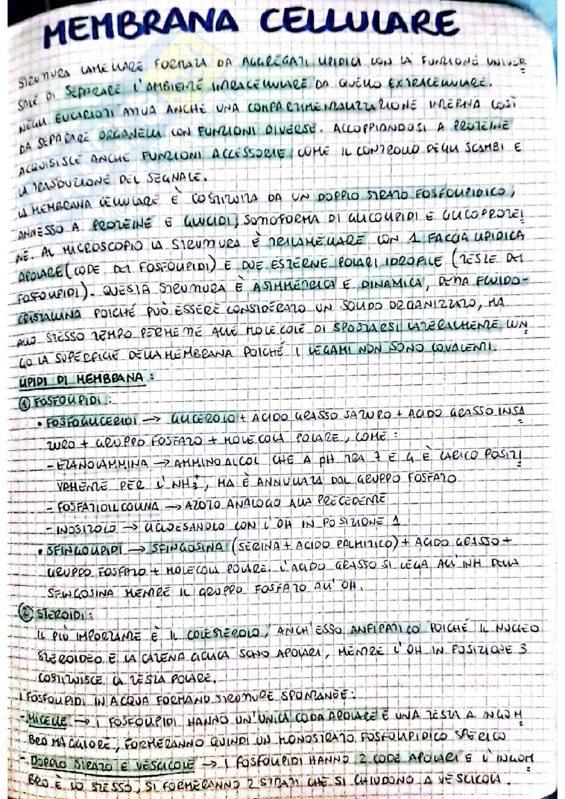 Biochimica I - seconda parte Pag. 36