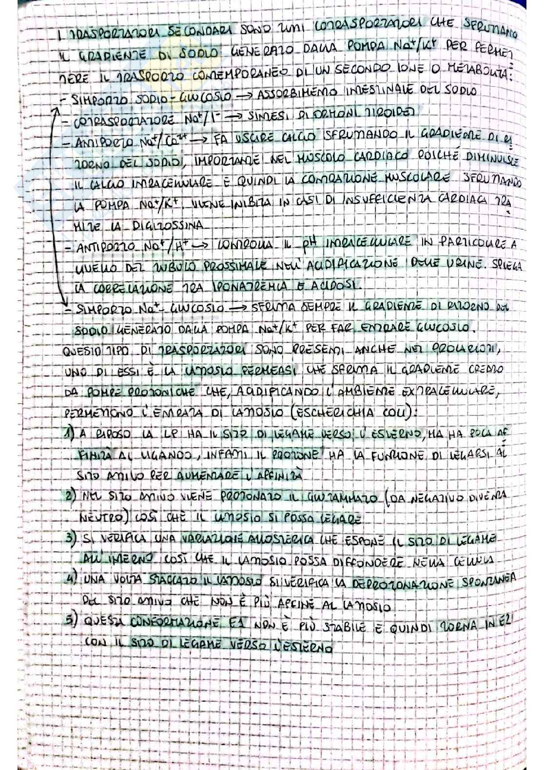 Biochimica I - seconda parte Pag. 41