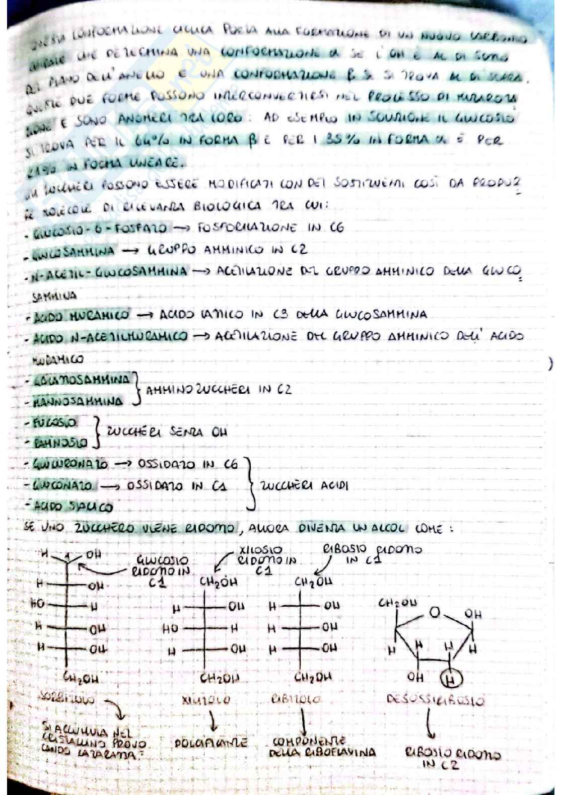 Biochimica I - seconda parte Pag. 46