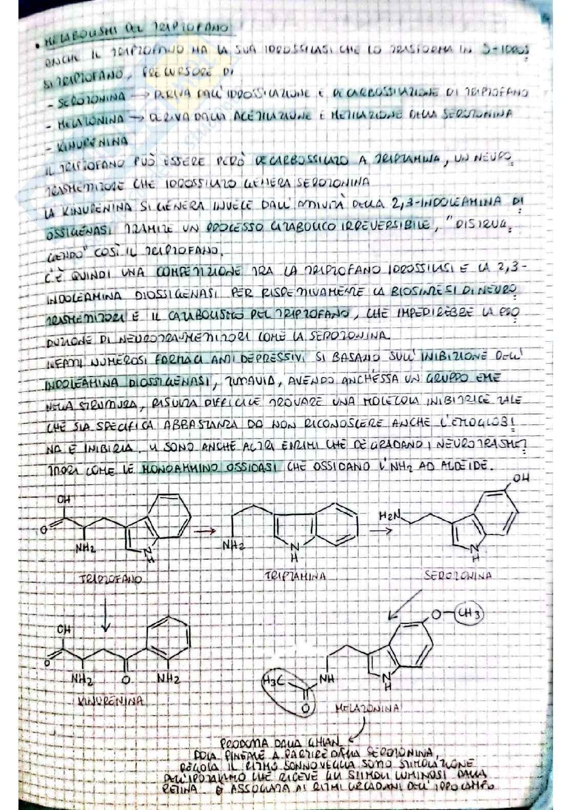 Biochimica I - seconda parte Pag. 6