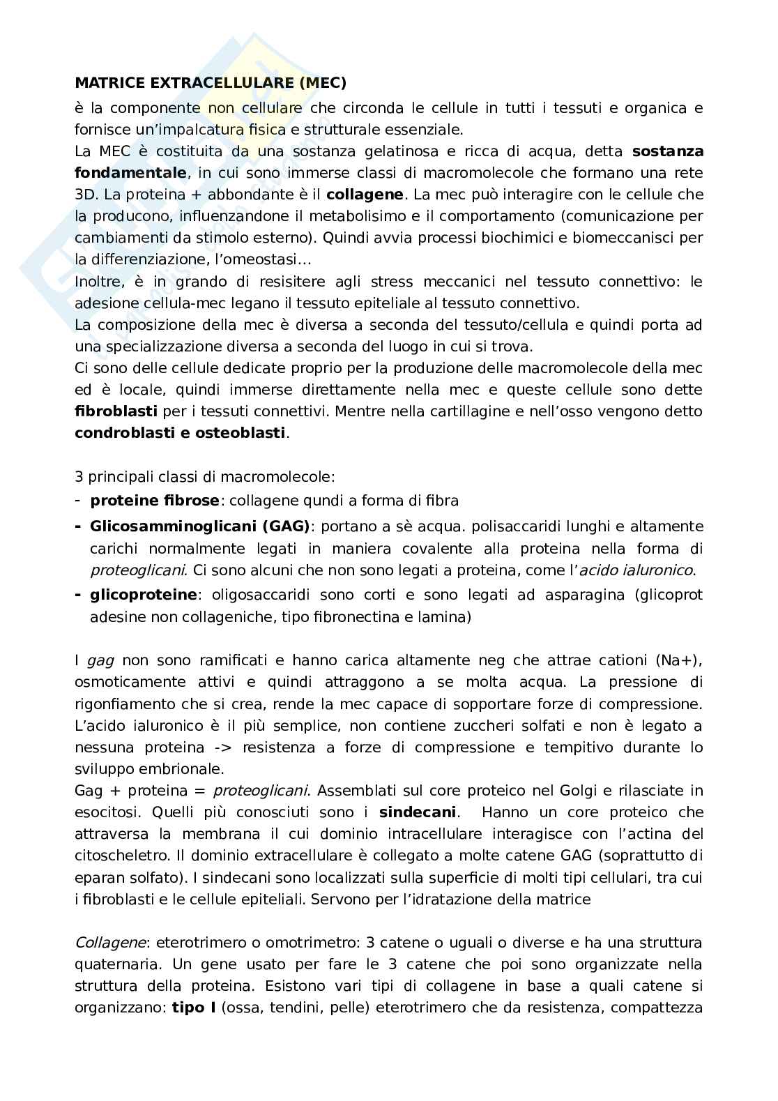 Matrice extracellulare, citoscheletro e comunicazione cellulare  Pag. 1