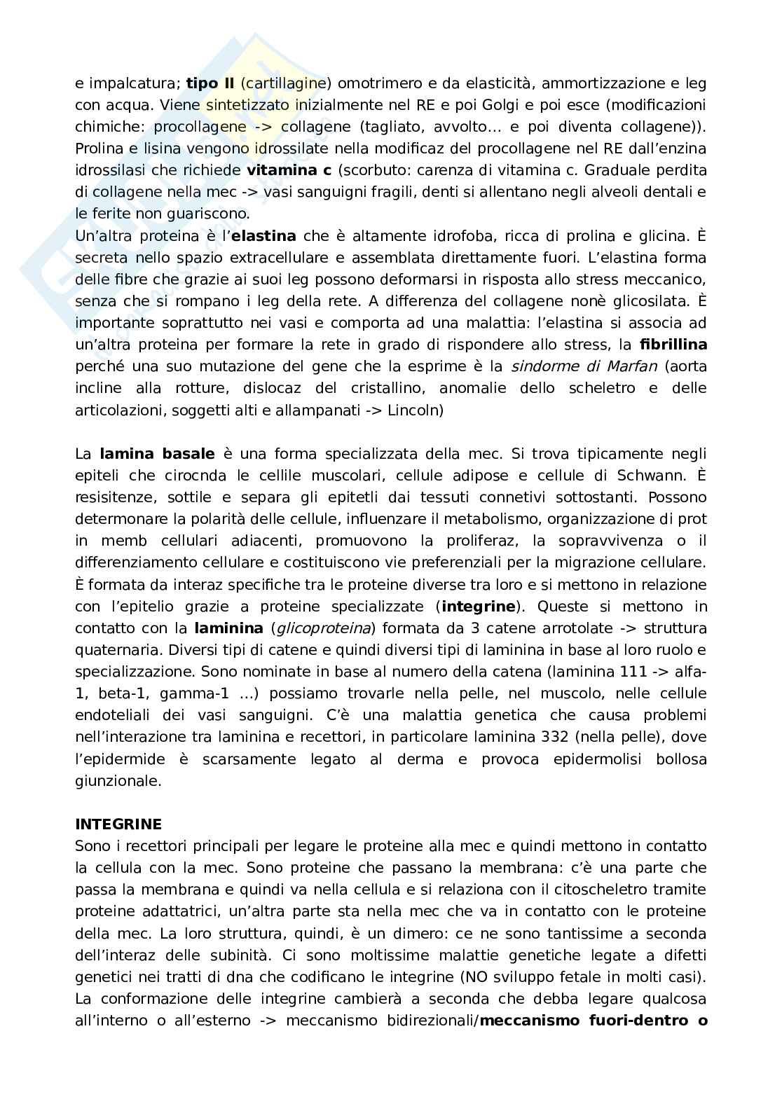 Matrice extracellulare, citoscheletro e comunicazione cellulare  Pag. 2