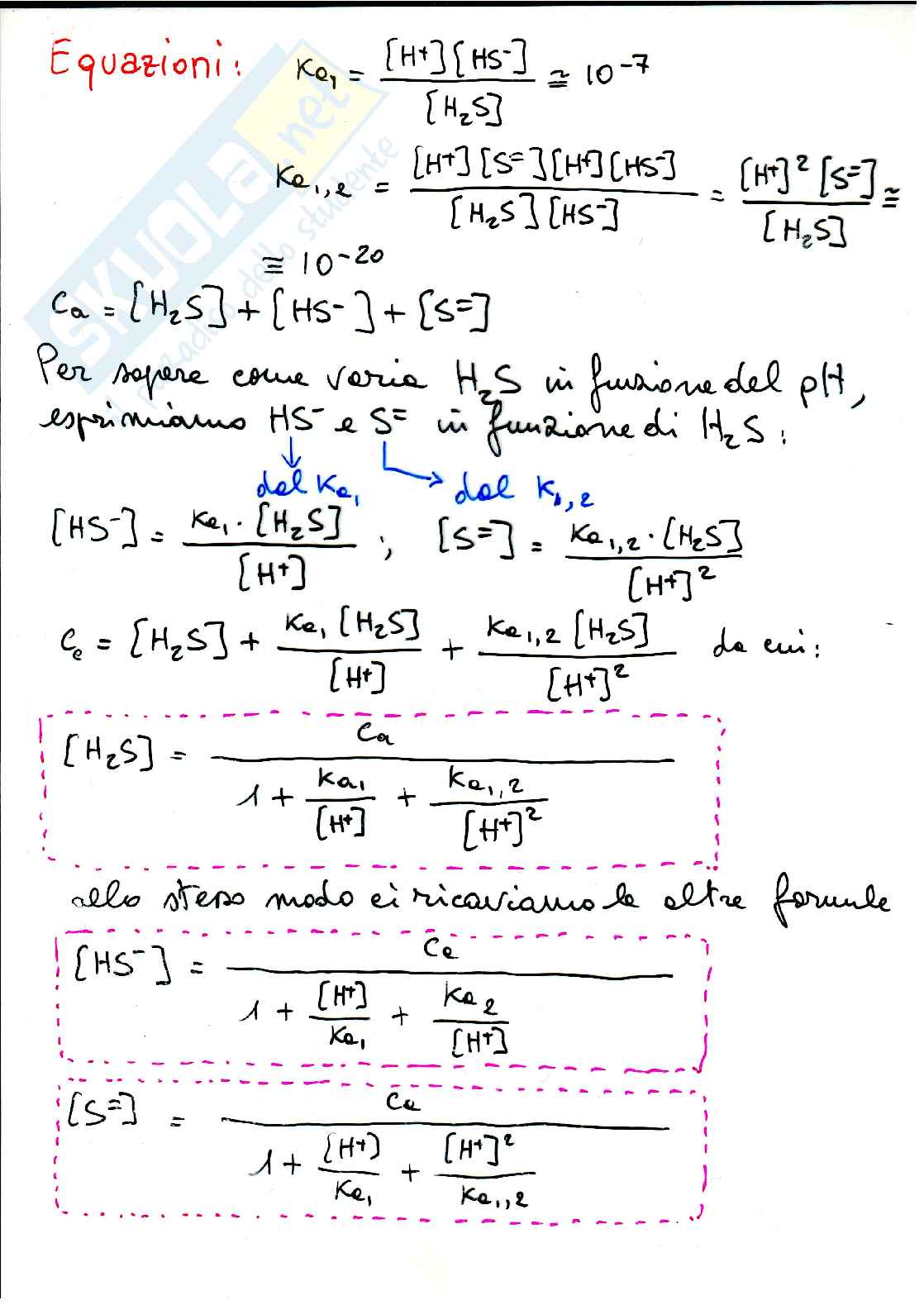 Equilibri acido-base Pag. 11