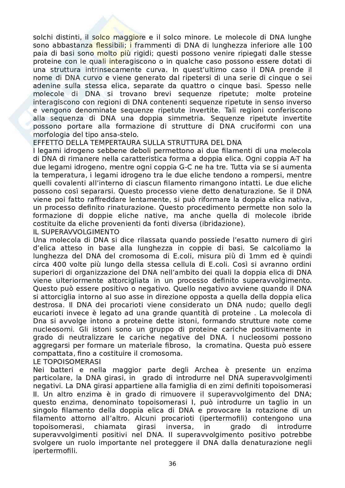 Appunti Microbiologia Pag. 36