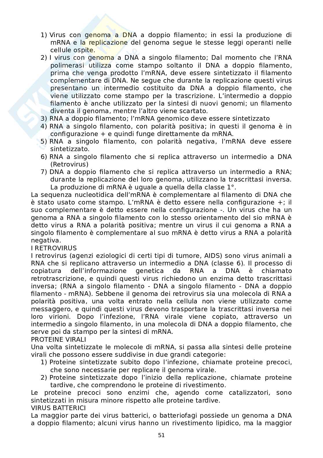 Appunti Microbiologia Pag. 51