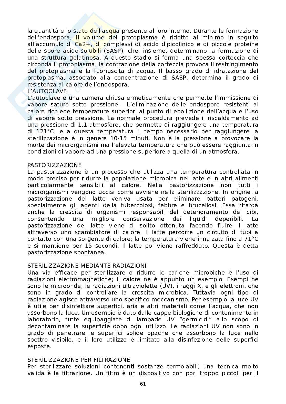 Appunti Microbiologia Pag. 61