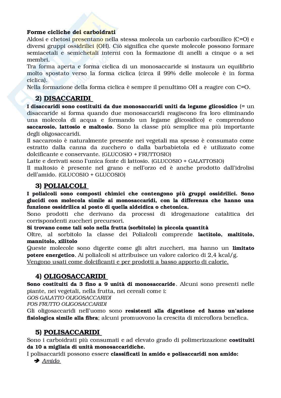 Carboidrati - macronutrienti Pag. 2