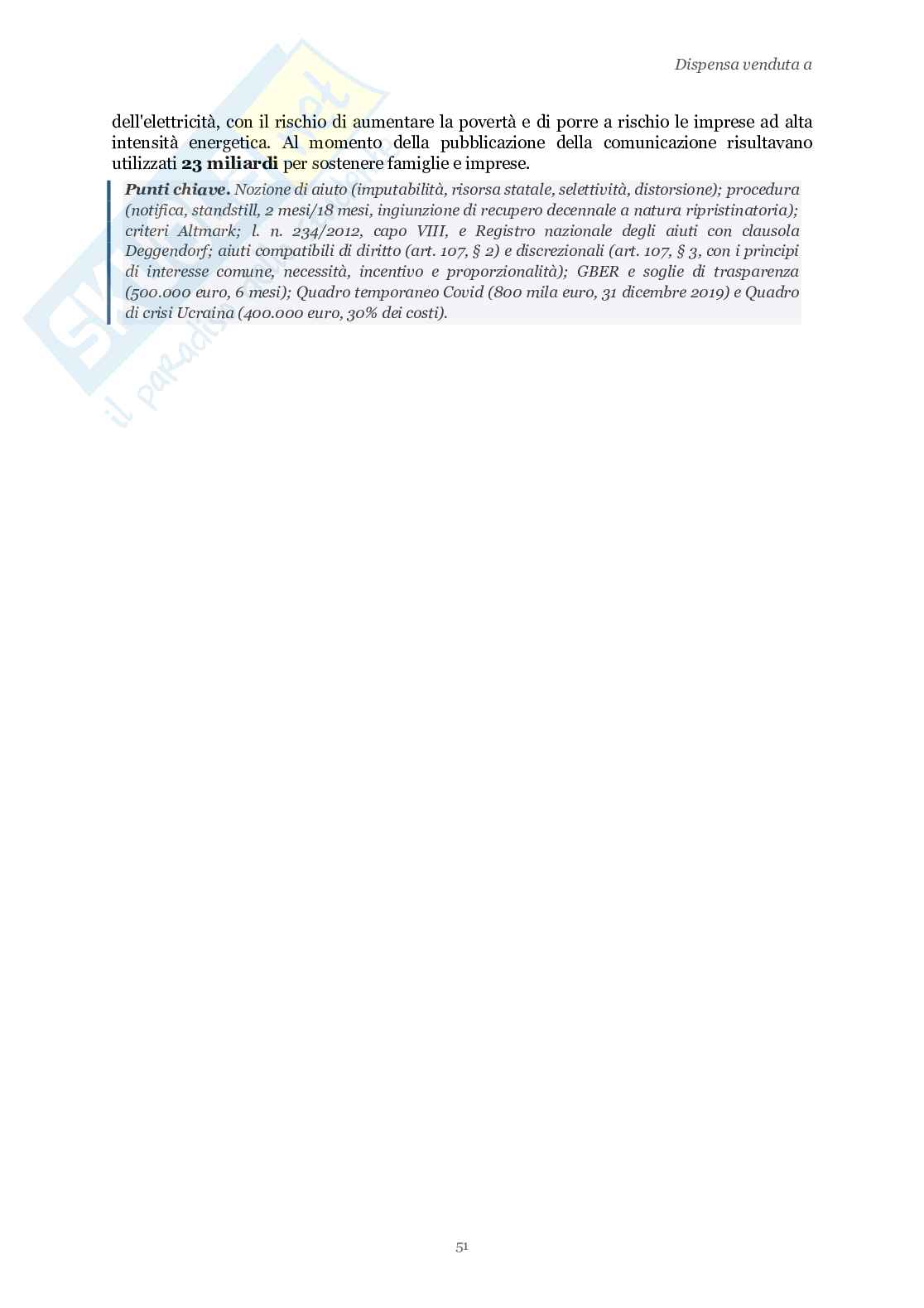 Riassunto esame Diritto dell'economia, Prof. Luchena Giovanni, libro consigliato Lezioni di diritto dell'economia, Bani, Di Porto, Luchena, Scotti Pag. 51