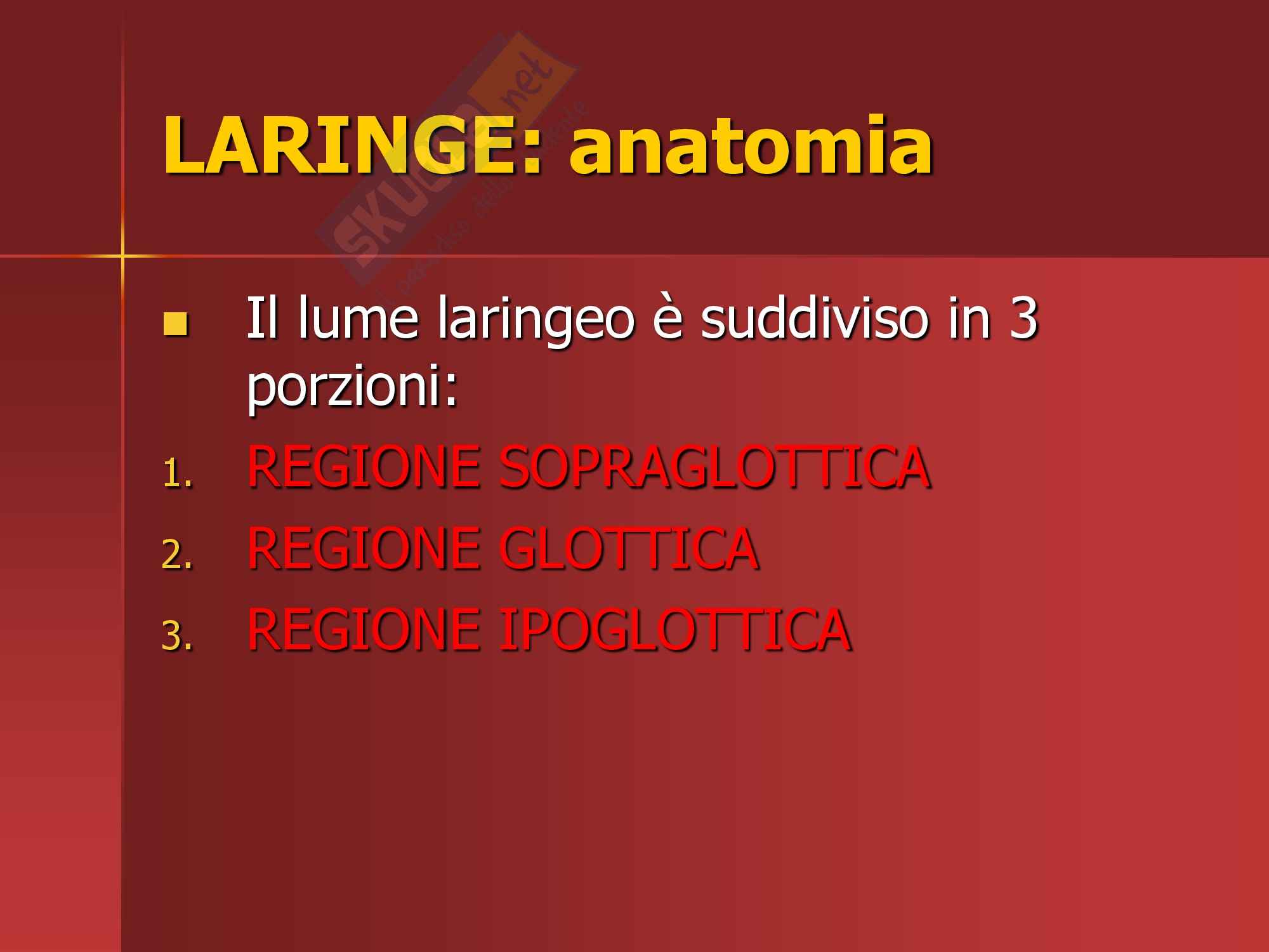 Otorinolaringoiatria - anatomia laringe Pag. 16