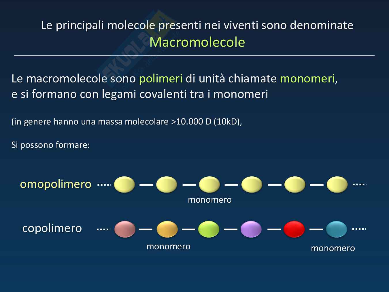 Biologia  Pag. 2
