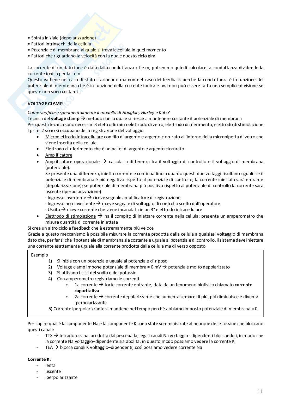 Fondamenti anatomo-fisiologici dell'attività psichica - modulo 1 Pag. 11