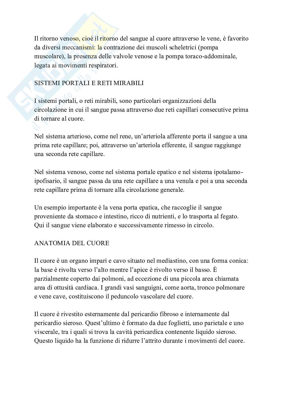 Apparato cardiovascolare linfatico e respiratorio Pag. 11