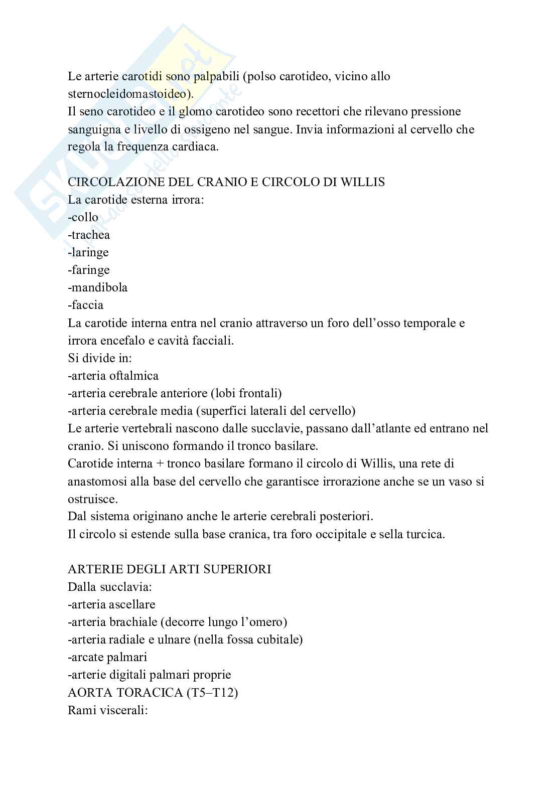 Apparato cardiovascolare linfatico e respiratorio Pag. 16
