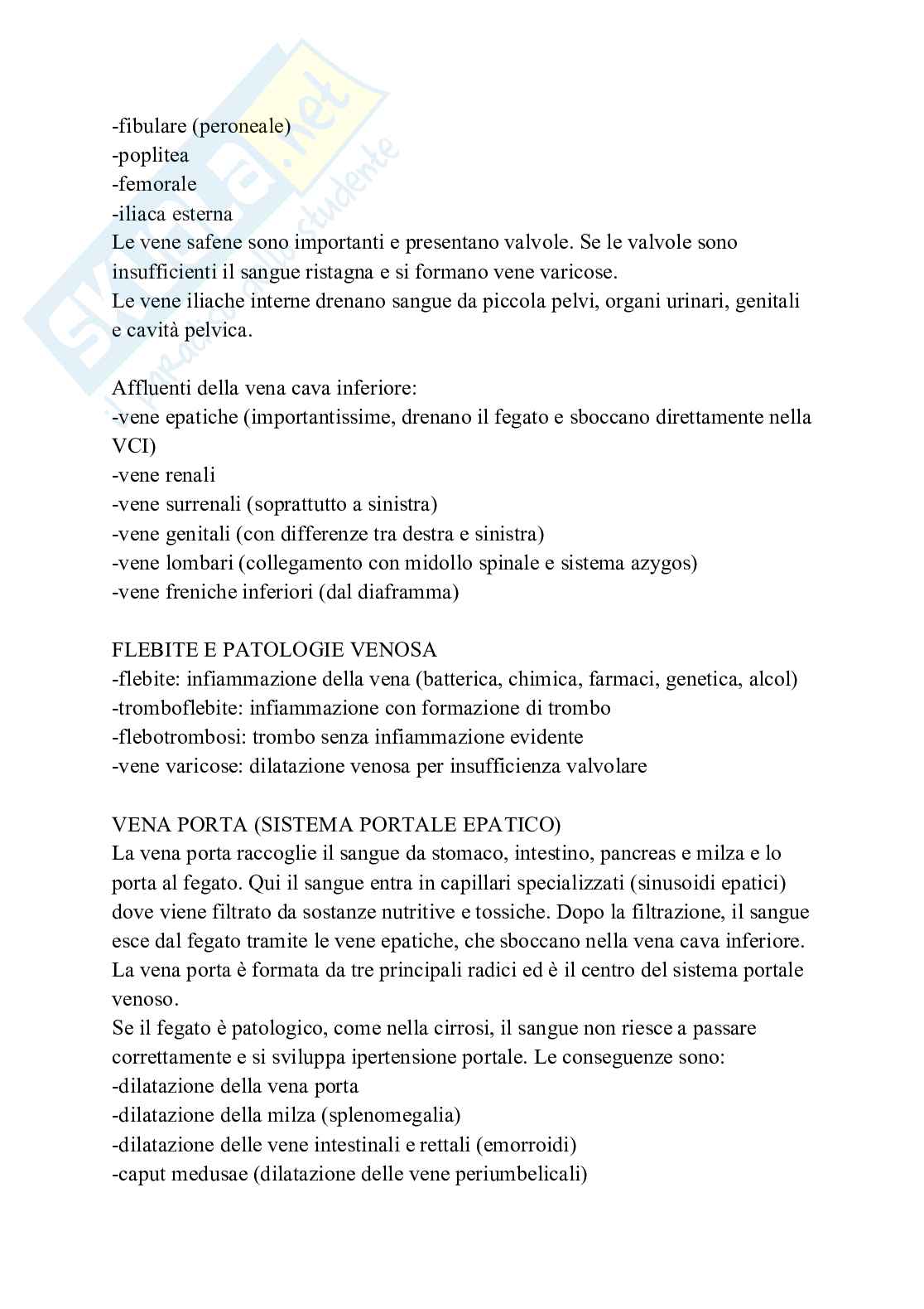 Apparato cardiovascolare linfatico e respiratorio Pag. 21