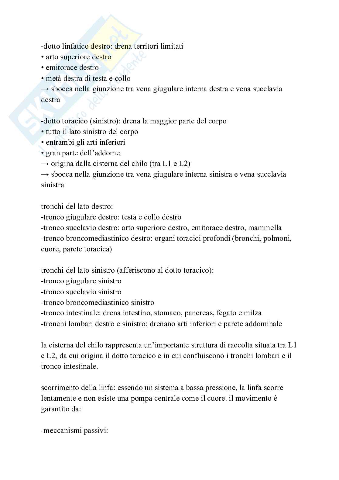 Apparato cardiovascolare linfatico e respiratorio Pag. 26