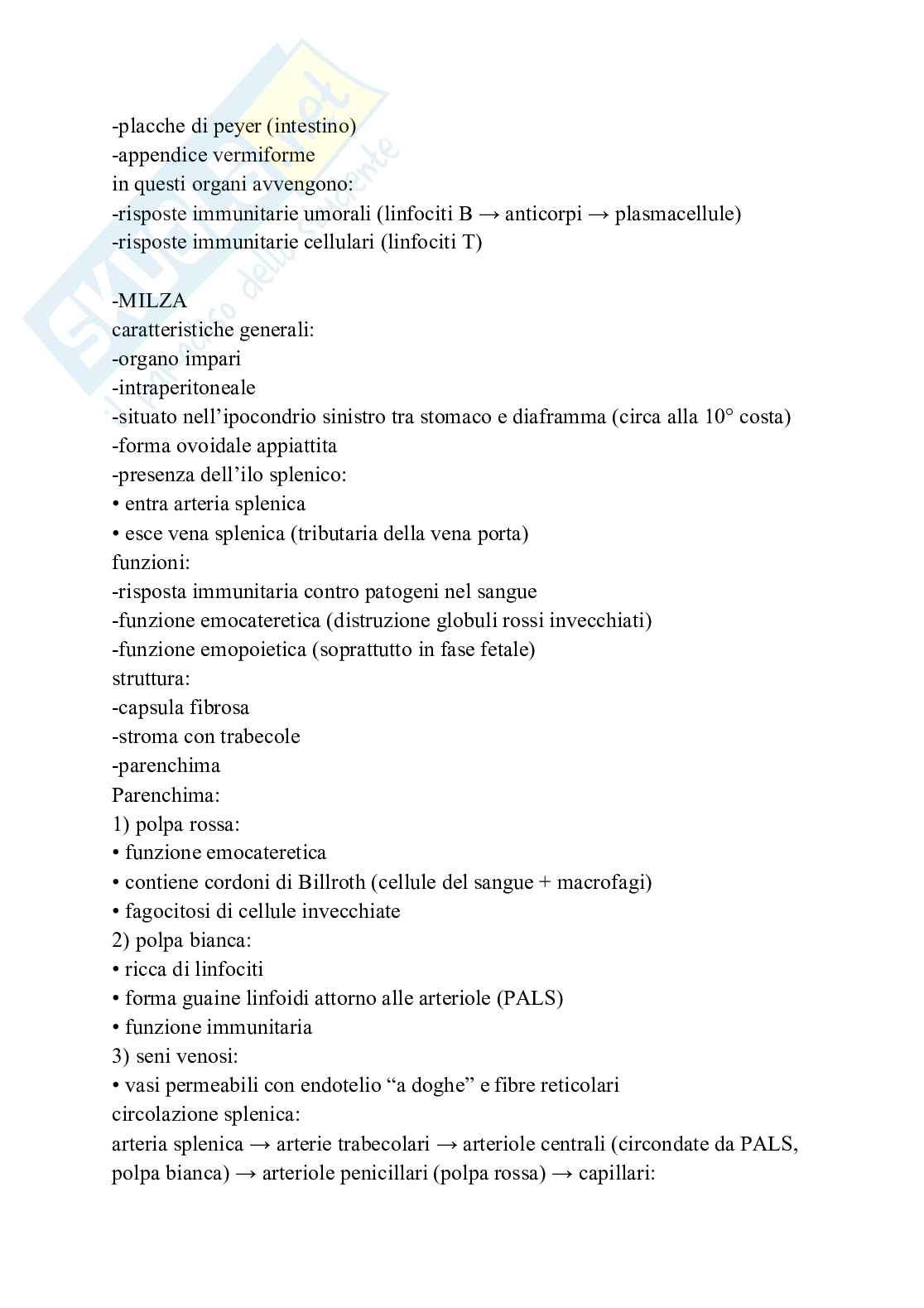 Apparato cardiovascolare linfatico e respiratorio Pag. 31