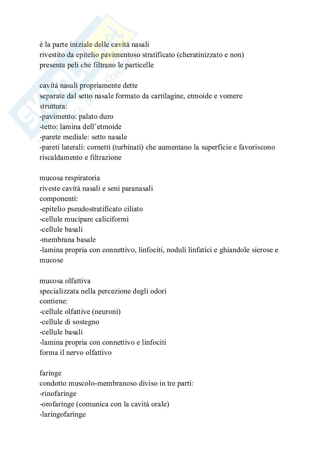 Apparato cardiovascolare linfatico e respiratorio Pag. 36