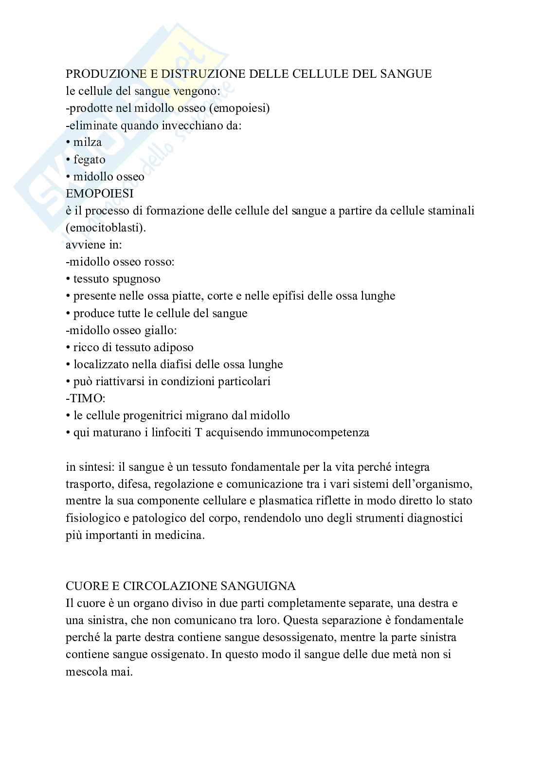 Apparato cardiovascolare linfatico e respiratorio Pag. 6