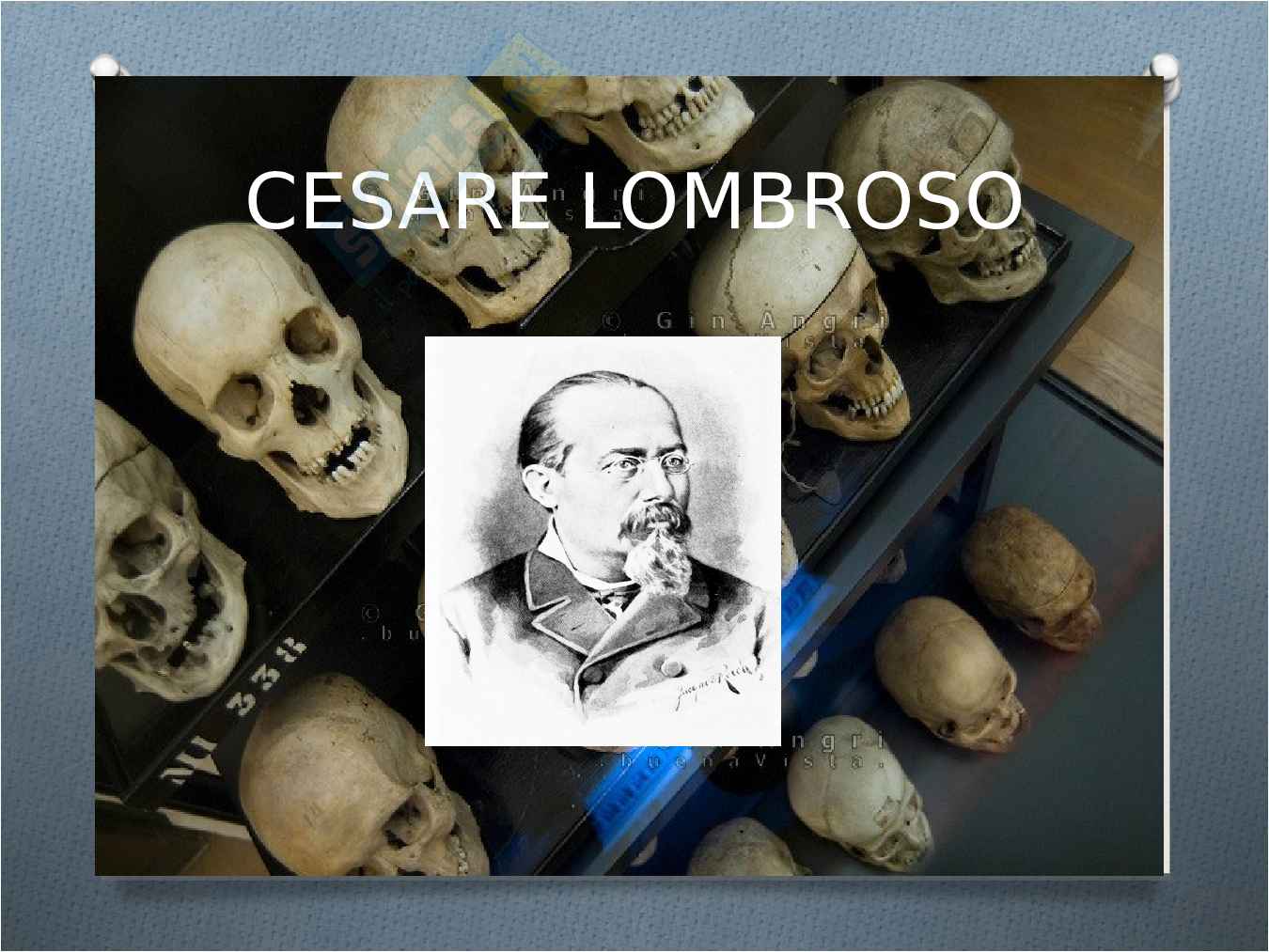 Tesina sull'Investigazione Pag. 11