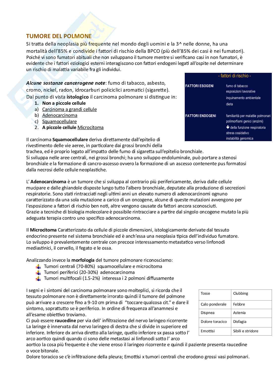 Pneumologia per Professioni Sanitarie Pag. 6