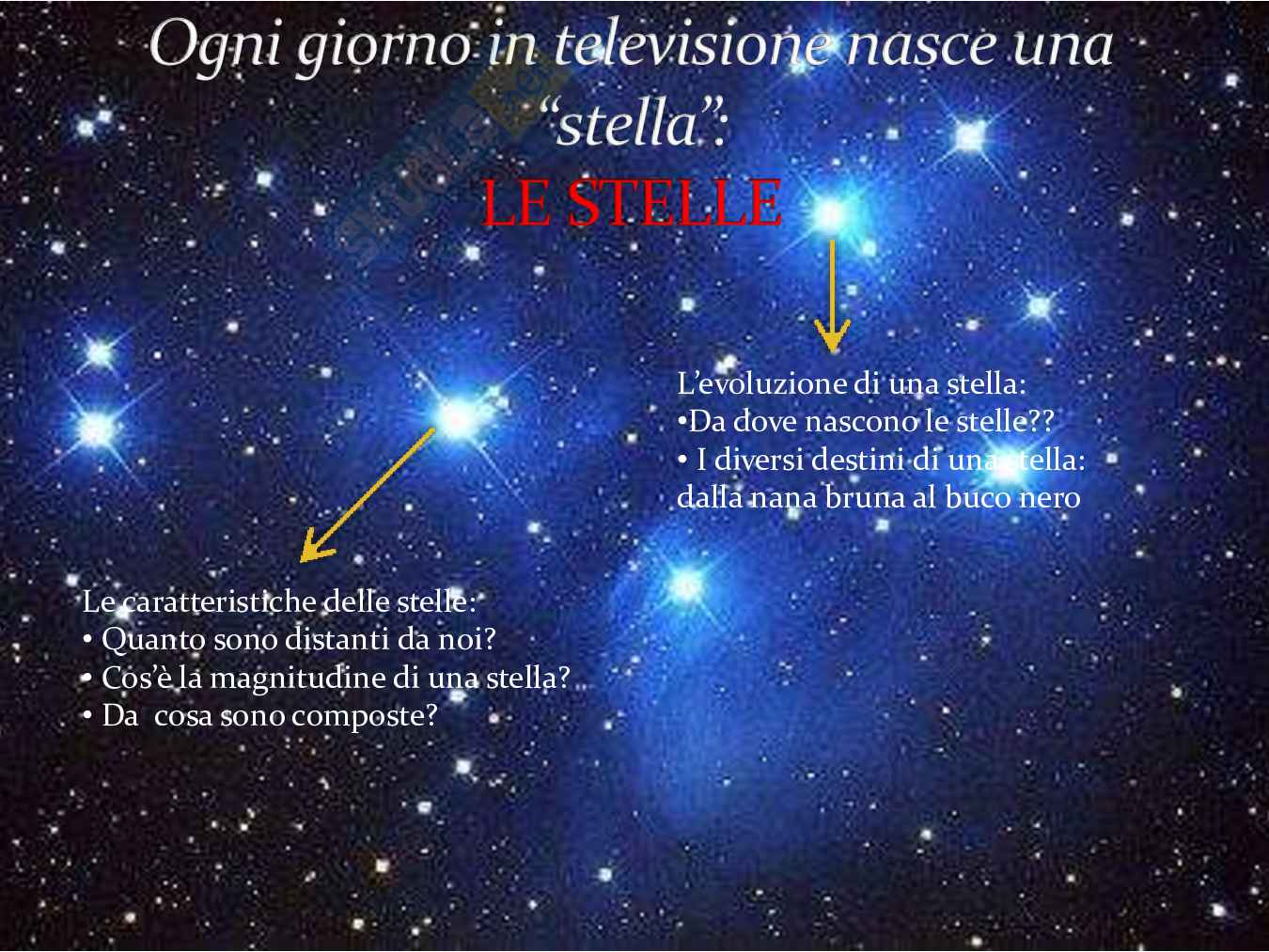 Vivo tutti i giorni in un Reality Show - Tesina per Liceo scientifico Pag. 31