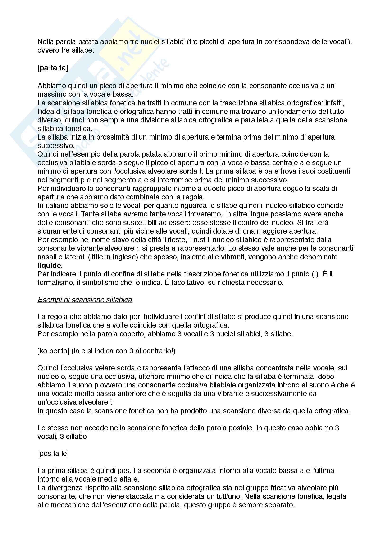 Linguistica generale - nozioni di base su fonetica, fonologia, morfologia e sintassi Pag. 2