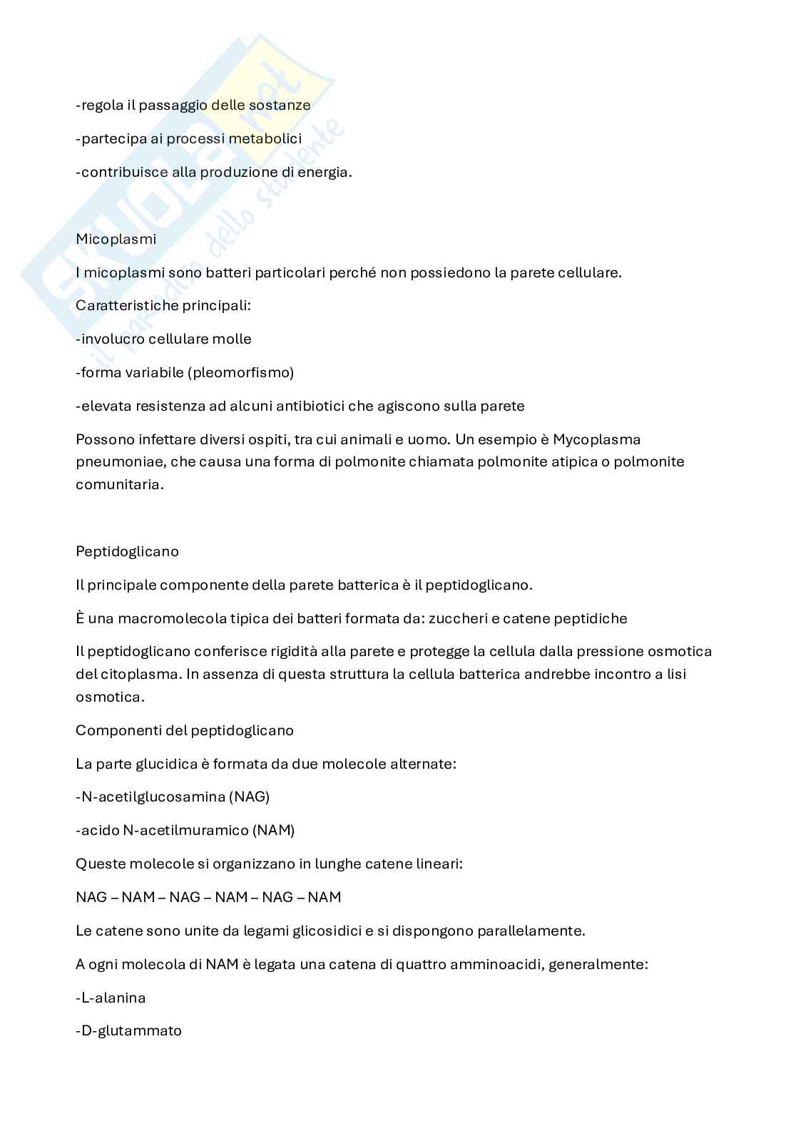 Microbiologia Pag. 11