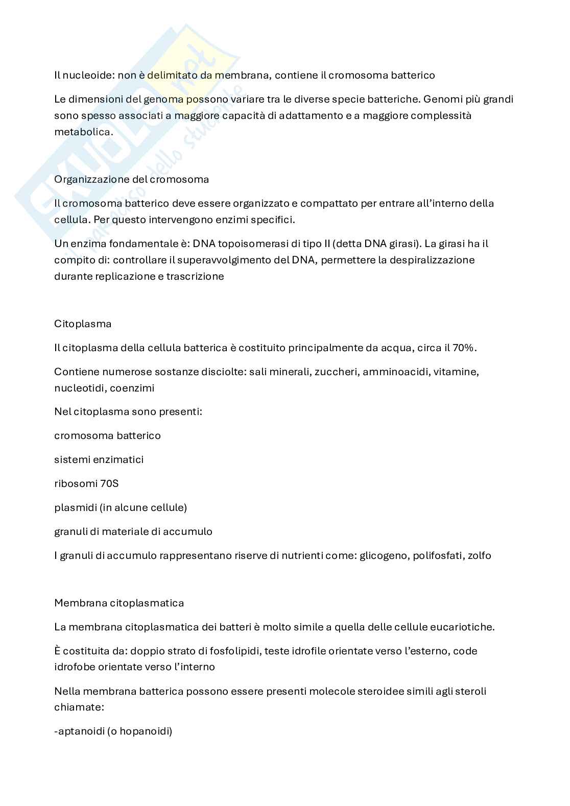 Microbiologia Pag. 6