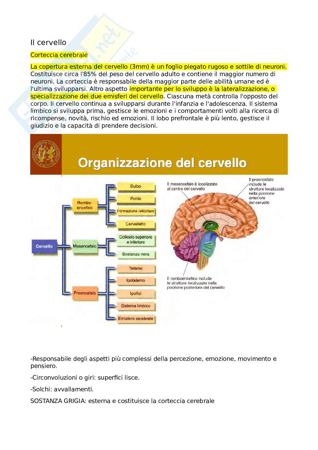 Appunti Scienze dell'educazione Pag. 16
