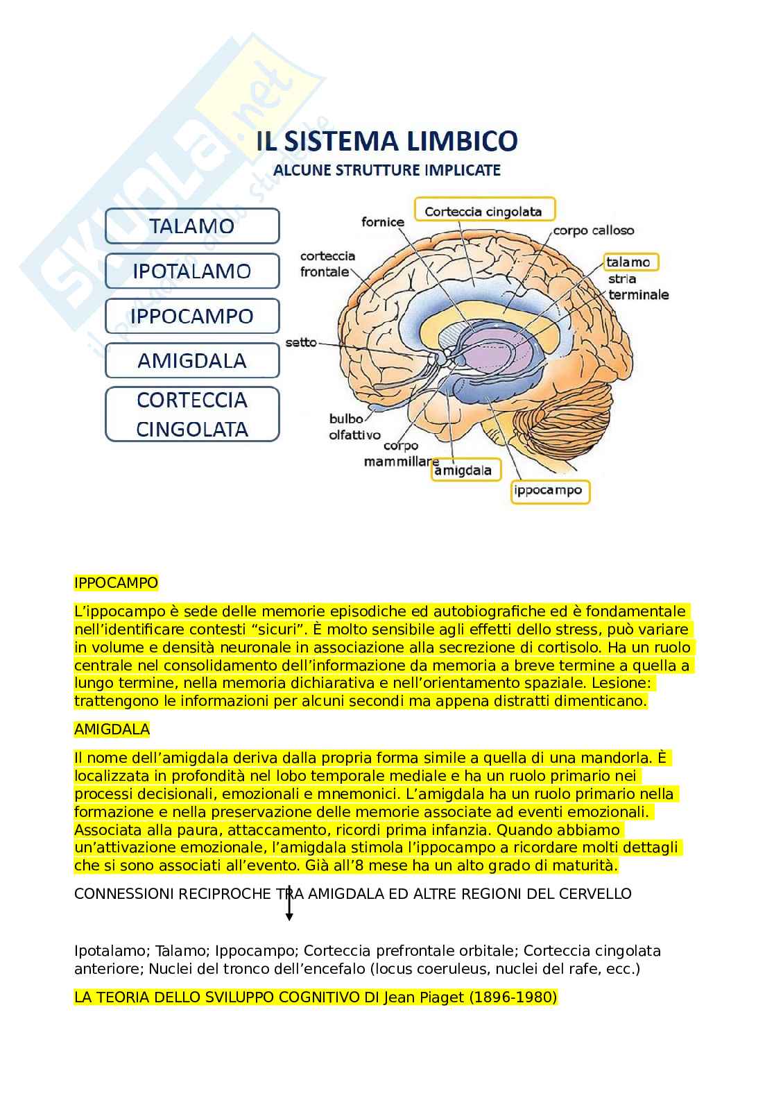 Appunti Scienze dell'educazione Pag. 21